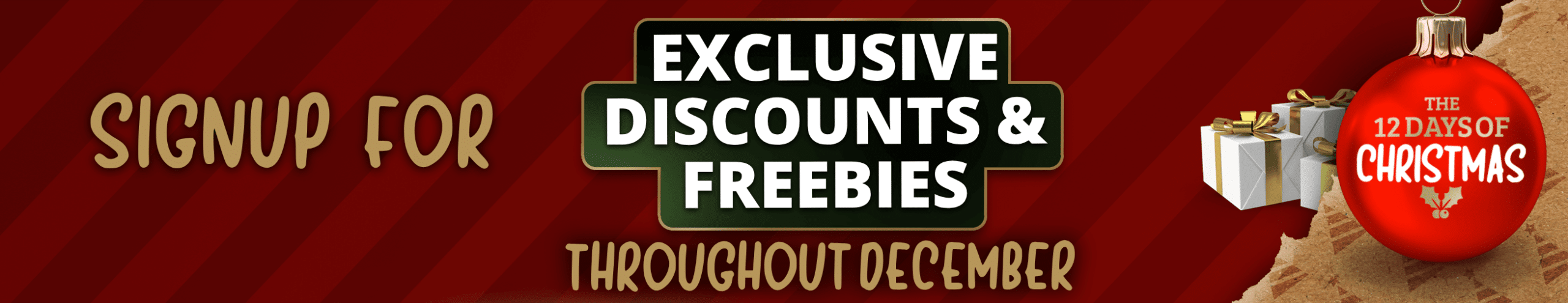 Training Course Christmas Discount